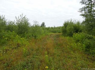 W8941 Newberg Rd, Channing, MI 49815