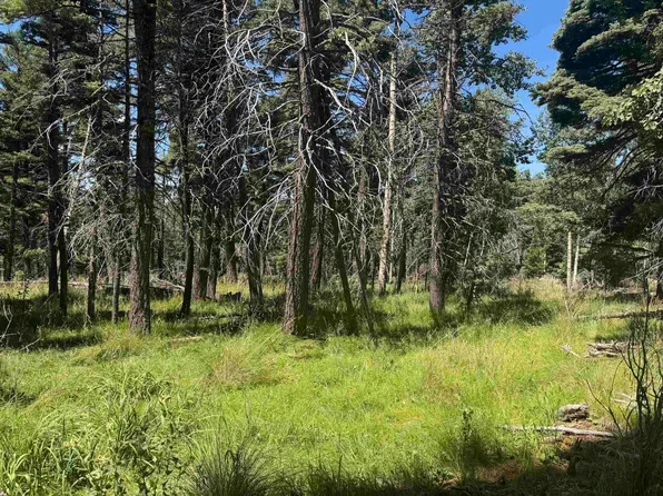 Lot 1172 Cheerful Way, Angel Fire, NM 87710