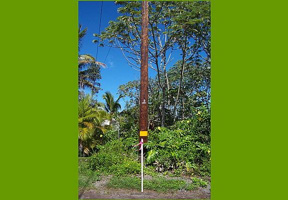 3rd image of 5th Ave Lot 2427