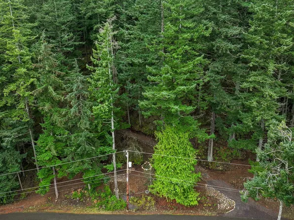 3071 3073 Hales Passage Drive, Lummi Island, WA 98262