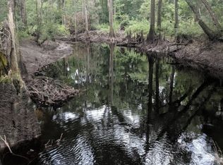 113 Stoney Creek Ct, Springfield, GA 31329