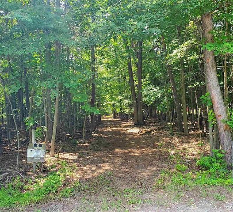 Mortimer Line Rd, Croswell, MI 48422 MLS 006230025 Zillow