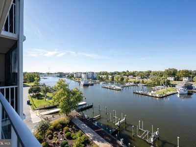 530 Riverside Dr SUITE 502, Salisbury, MD, 21801