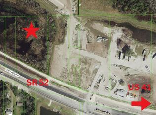 0 Highway 52 LOT 10, Land O Lakes, FL 34638