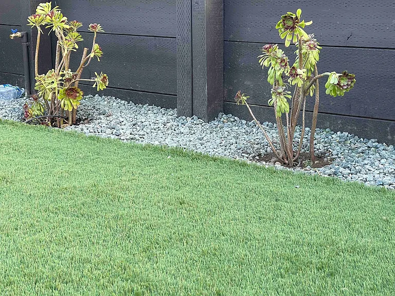 20170B Cherry Ln — Photo 3