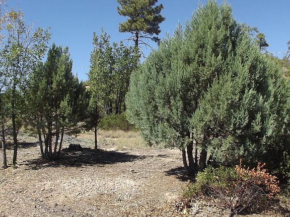 3rd image of 6313 Fawn Ln