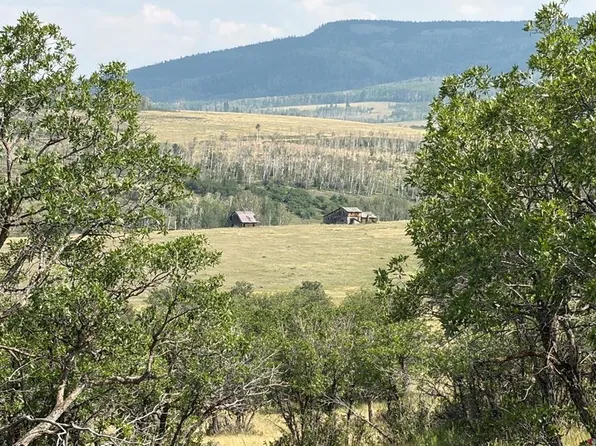 Lot G M44 Road, Placerville, CO 81430