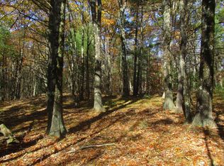Truesdale Hill Rd, Lake George, NY 12845