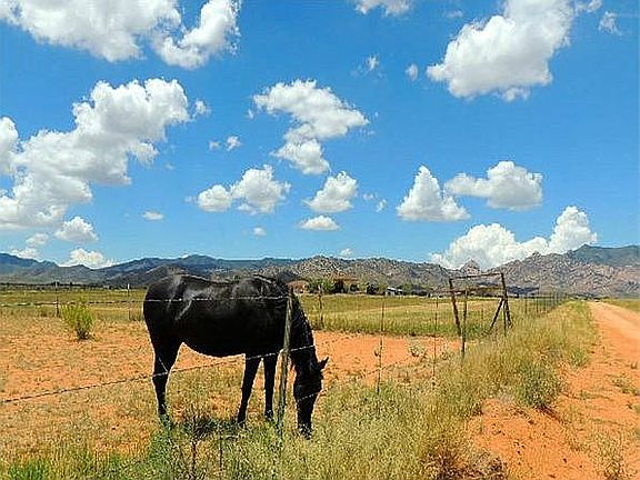 Horses encouraged here