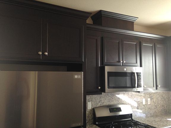 stainless steel Appliance