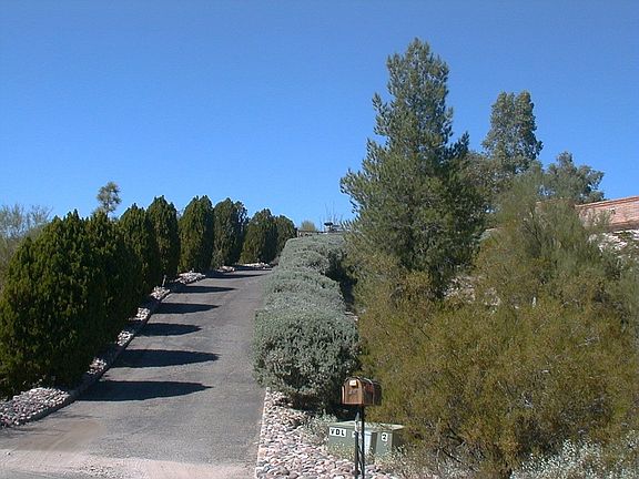 driveway up to house