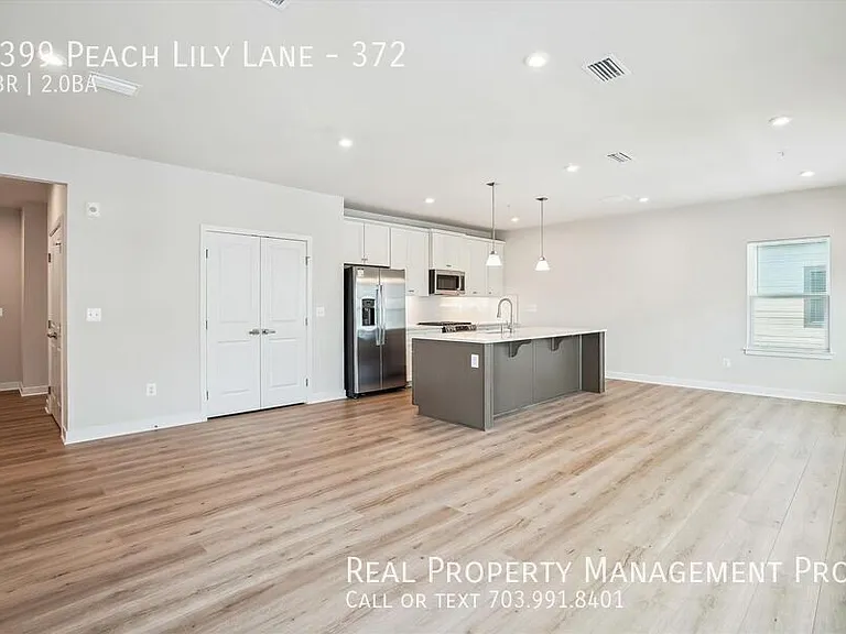 4399 Peach Lily Ln #372 — Photo 8
