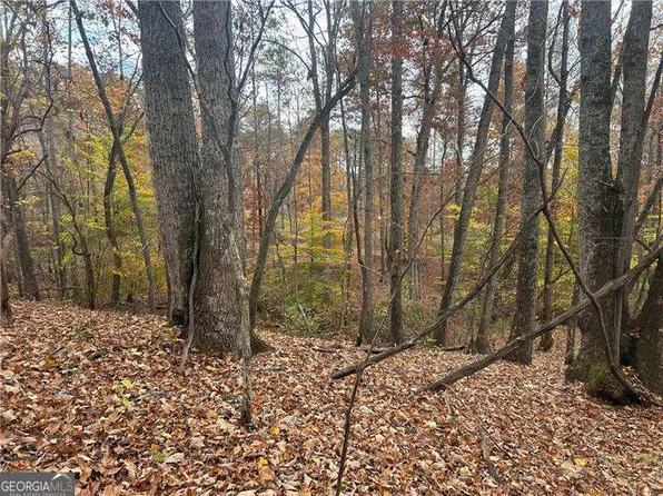 932 Sardis Rd, Canton, GA 30114