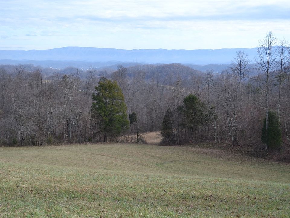 View from middle