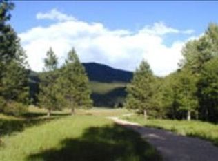 11537 Ninebark Way, Clinton, MT 59825