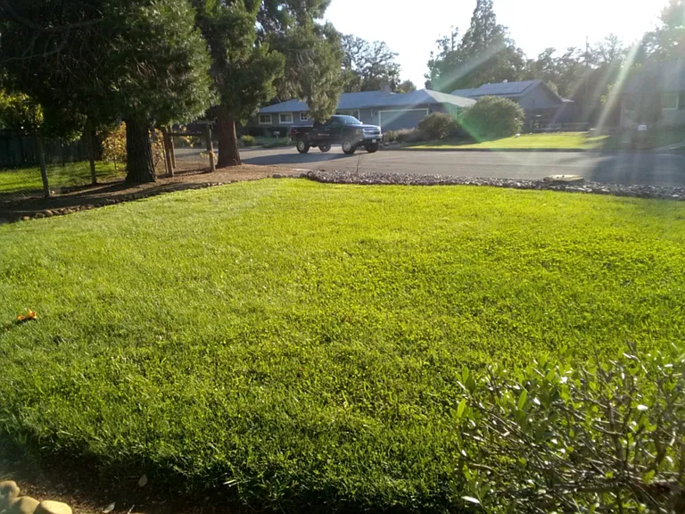 Encina Dr — Photo 7
