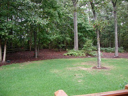 Wooded, large Backyard