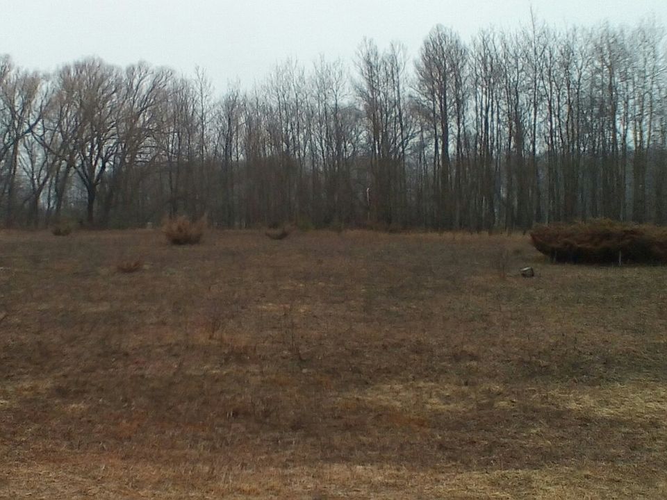 1st image of 13055 Alyssia Ave