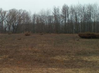 13055 Alyssia Ave, Charlevoix, MI 49720