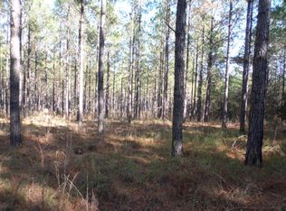 411 Dell Rd, Bainbridge, GA 39819