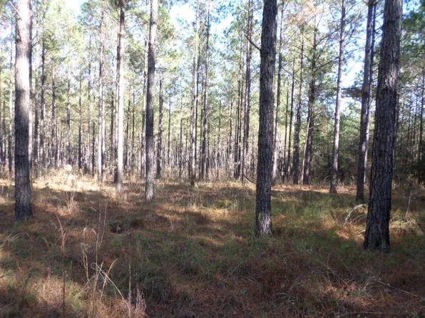 411 Dell Rd, Bainbridge, GA 39819