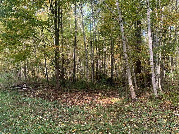 5th image of E West Branch Rd