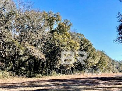 19500 Bohemian Hall Rd, Silverhill, AL, 36576