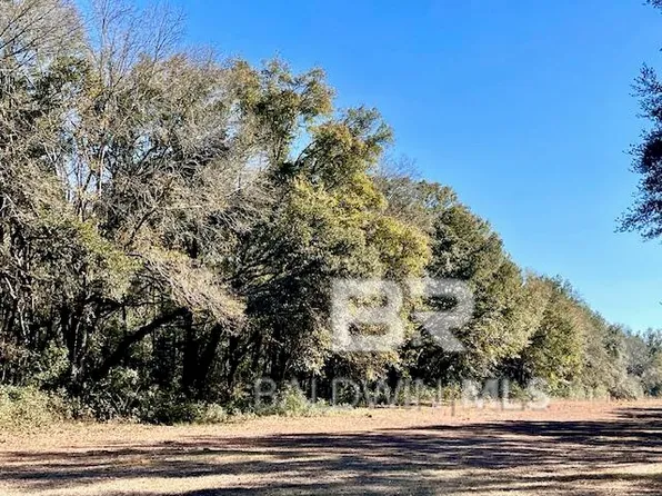 19500 Bohemian Hall Rd, Silverhill, AL 36576