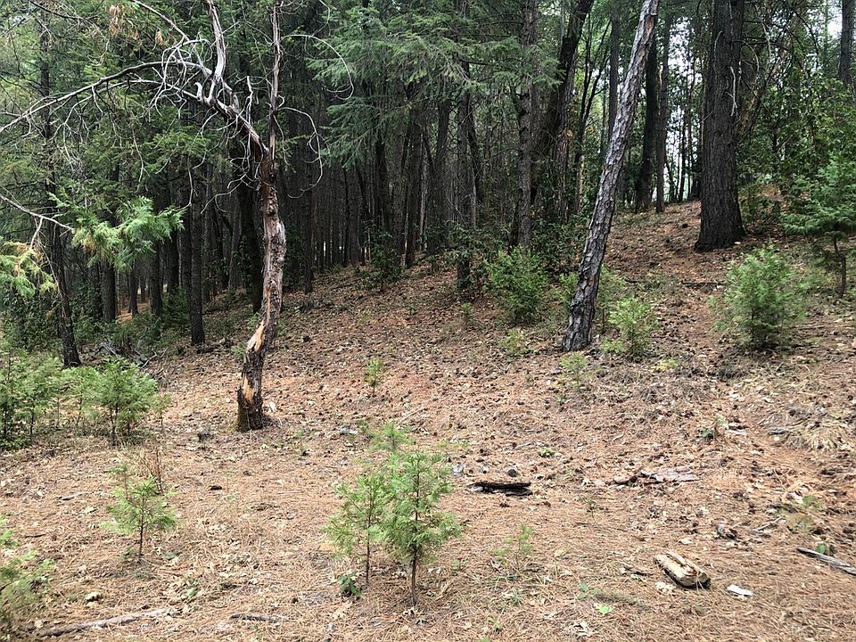 2nd image of 20935 Todd Valley Rd