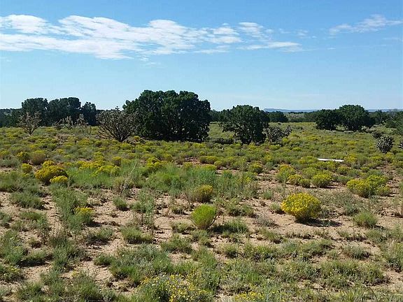 3rd image of 41 E Saddleback Mesa