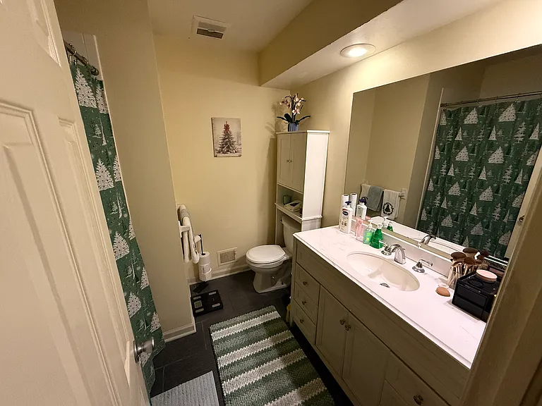 Hallway bathroom.
