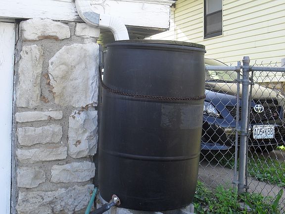 Rain Barrel 