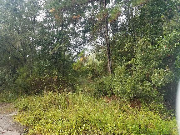 4th image of 0 W Hwy 318