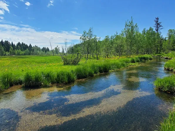 4067 Saint Ryan Way, Island Park, ID 83429