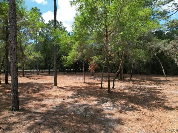 6925 W Copenhagen St, Dunnellon, FL 34433