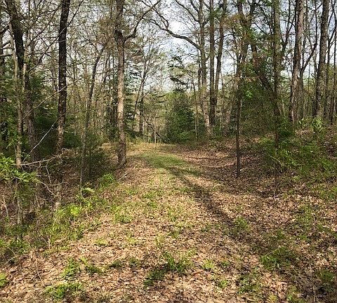 3rd image of LOT-17B Lakeland Dr