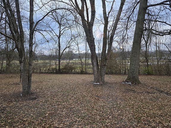 Backyard from sliding door