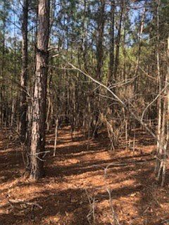 5th image of Lot 6B Savannah Bay Drive