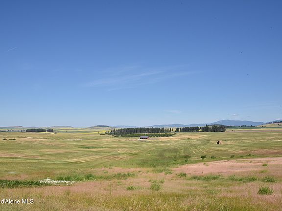 2nd image of 9 Pebblestone Dr