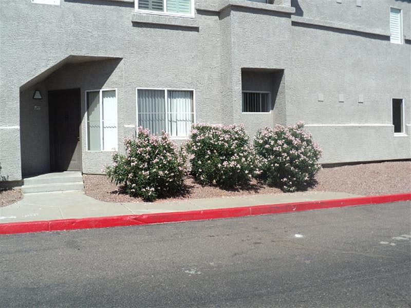 1st image of 3236 E Chandler Blvd Unit 1017