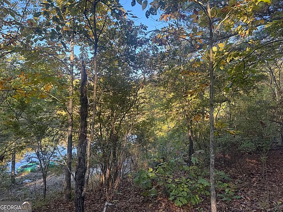 4th image of TRACT 9 Butler Rd