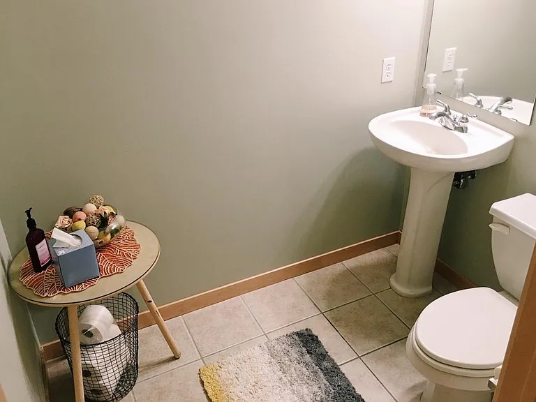 Lower level bathroom