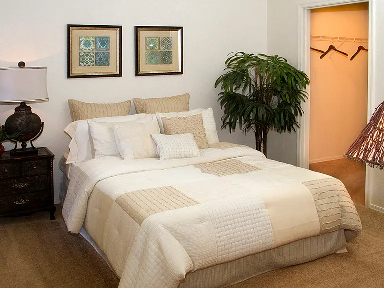Walk-In Closet*