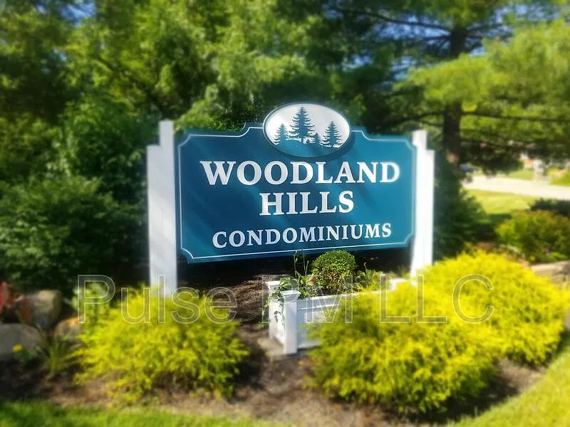2 bed, 2.0 bath, 980 sqft, $1,400 — Photo 2