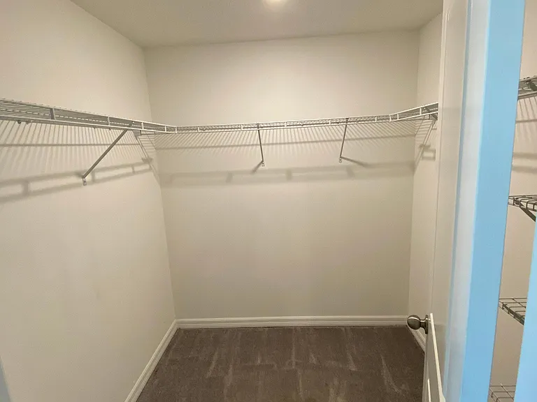 3810 Cat Mint St — Photo 10
