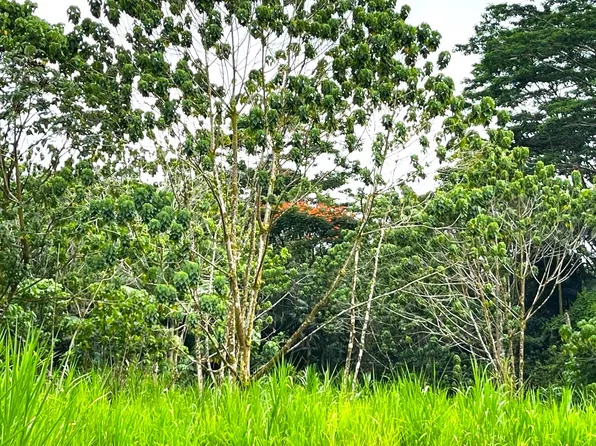 15-1434 Post Office Rd Lot 16B, Pahoa, HI 96778
