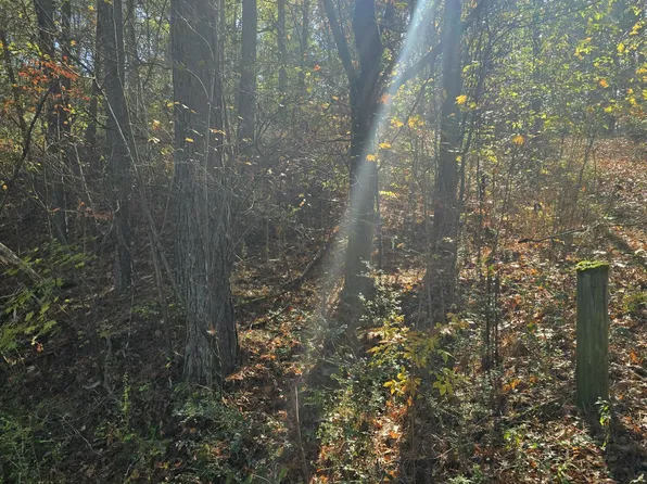 46 Whittemore Hollow Rd, Ringgold, GA 30736