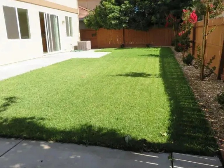 Big Backyard