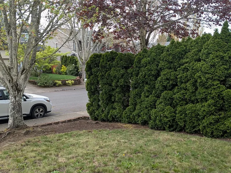 16167 NW Ryegrass St — Photo 26