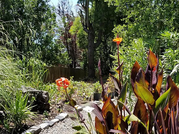 Flowers along the path to front entry